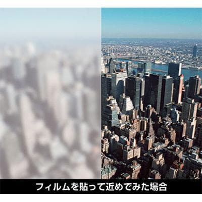 フォグラスガード C-1685